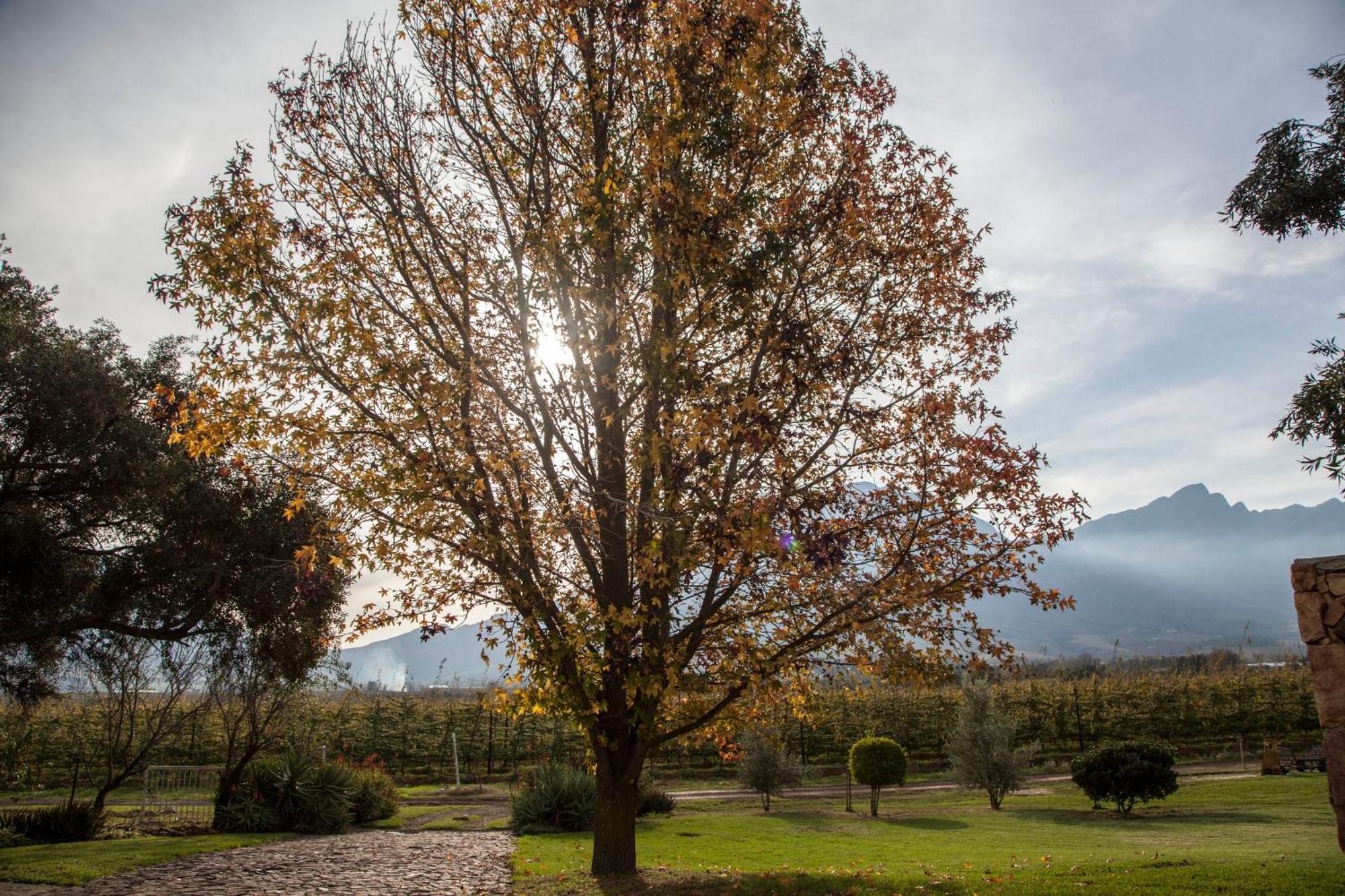 Bergsicht Country Farm Cottages Талба Номер фото